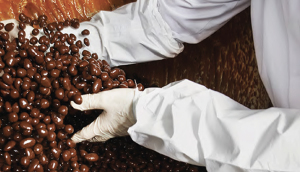 Lavorazione del Cacao Valrhona