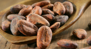 Fave di Cacao essiccate